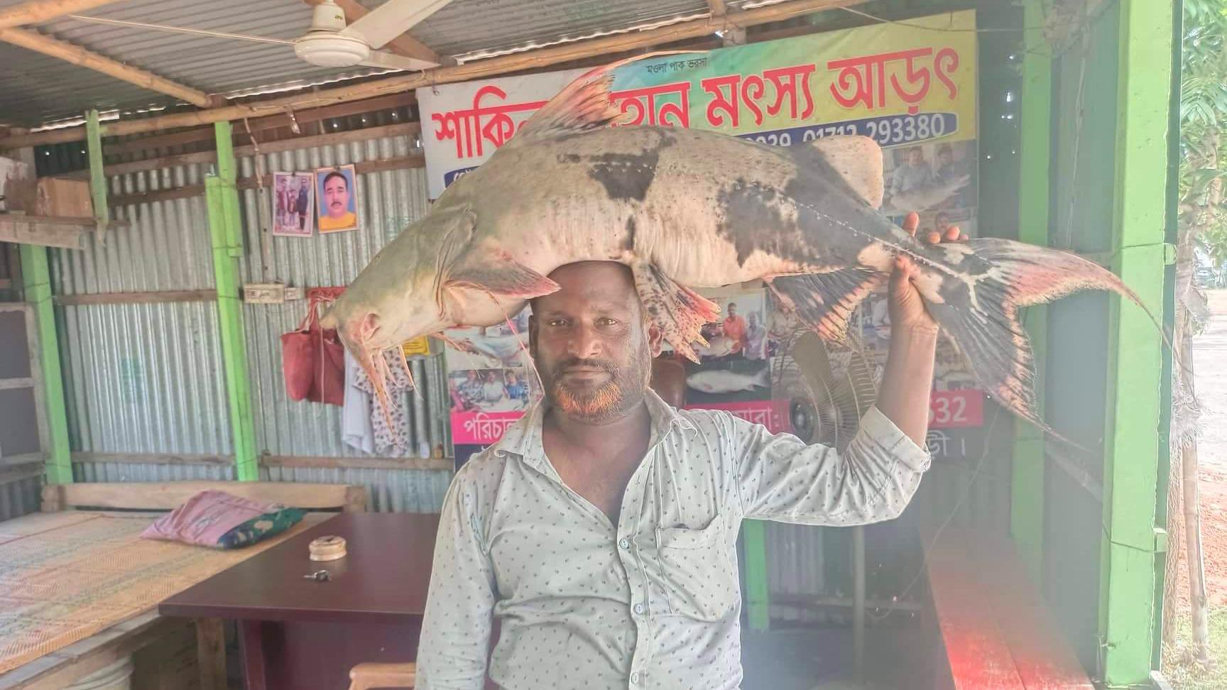 ২১ কেজির বাগাড়  ২৫ হাজারে বিক্রি