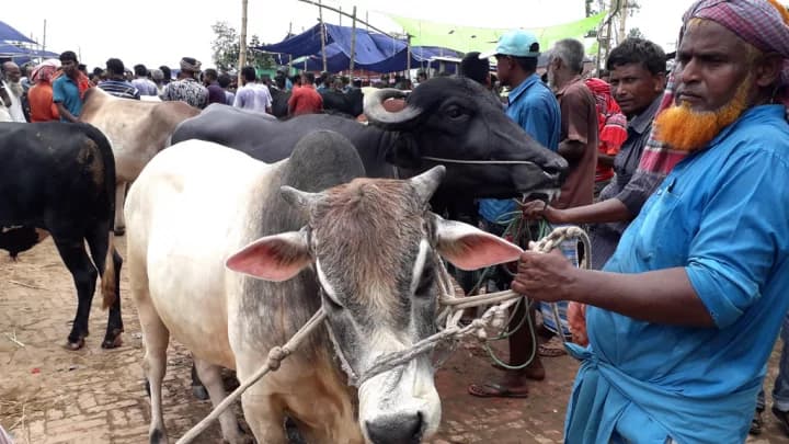 হাইকোর্টের স্থগিতাদেশ সত্ত্বেও ফের ইজারার বিজ্ঞপ্তি, ডিএসসিসি মেয়রকে আইনি নোটিশ