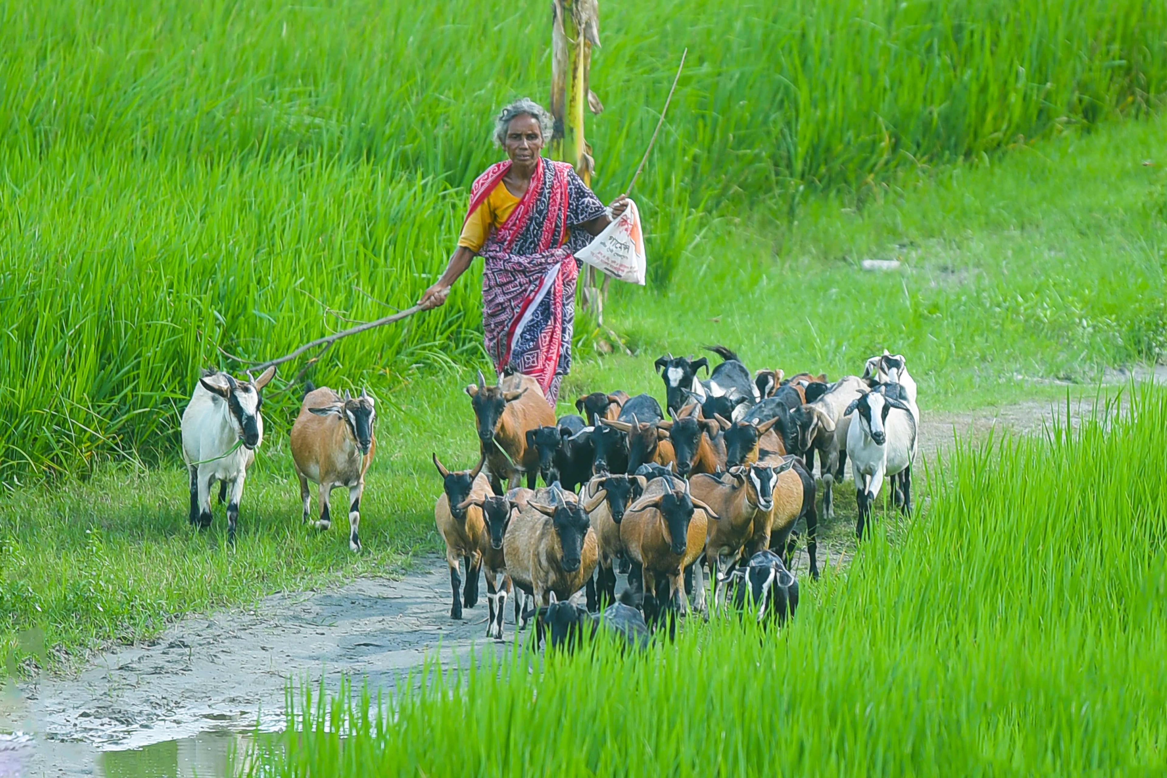 দিনের ছবি (৩১ অক্টোবর, ২০২৩)