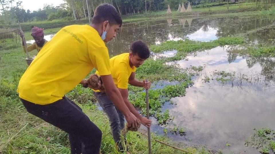 বজ্রপাত থেকে রক্ষায় তালবীজ রোপণ