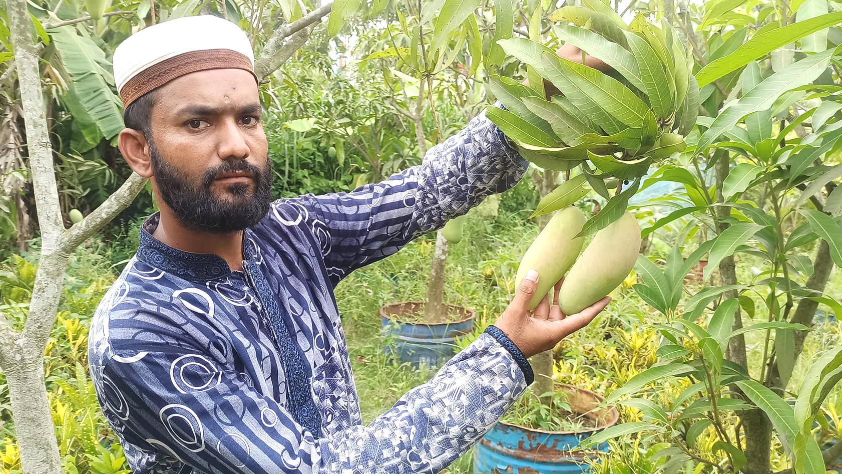 শখের ক্যাকটাস থেকে সফল নার্সারি ব্যবসায়ী