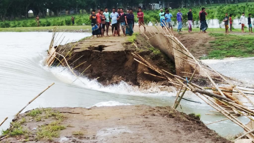 বাঁধ ভেঙে পানিতে তলিয়ে গেছে ২০০ বিঘা জমির ধান