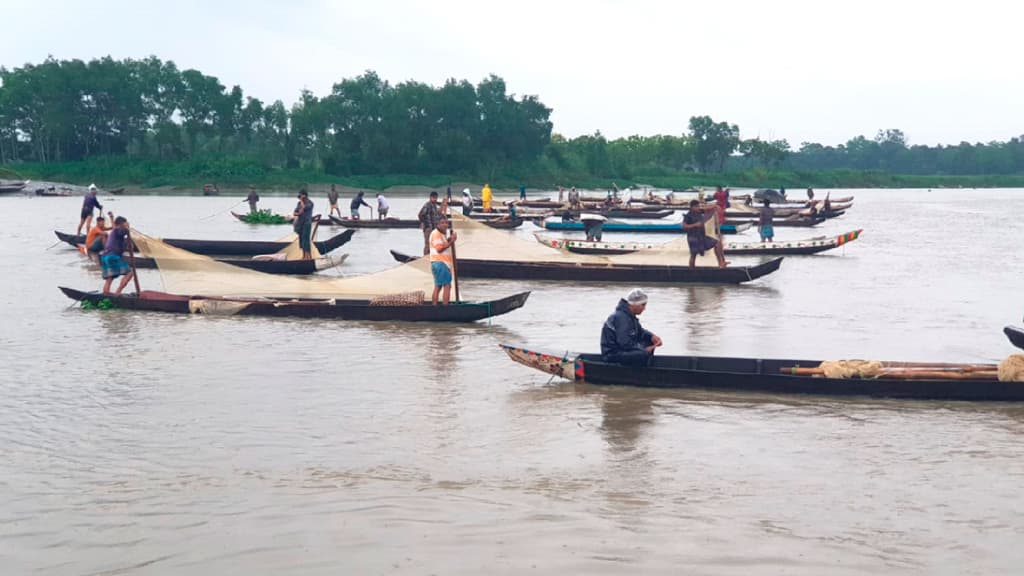 হালদায় কম ডিম ছেড়েছে মাছ