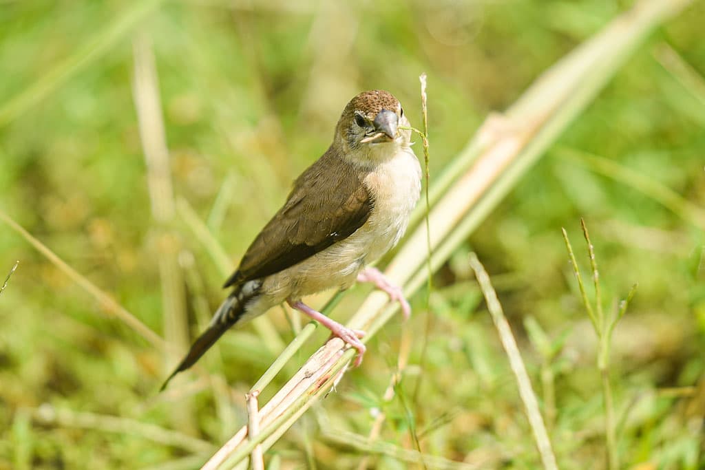 দিনের ছবি (৫ নভেম্বর, ২০২৩)