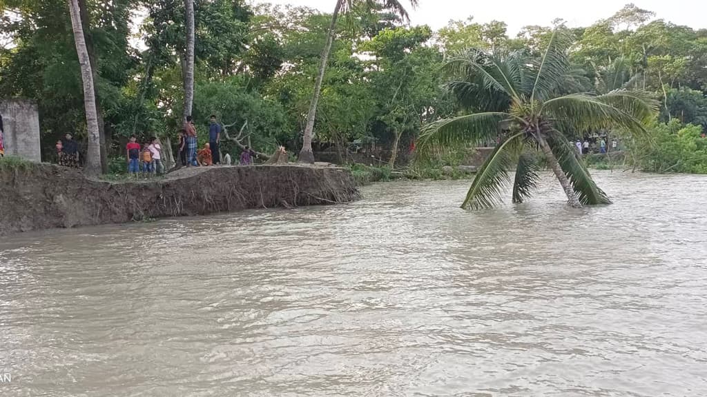 আড়িয়াল খাঁর ফের ভাঙন বিলীন বাড়ি, ফসলি জমি