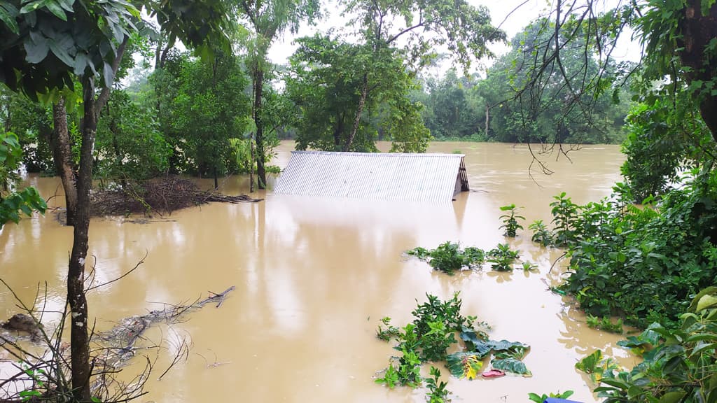 গোমতী নদীর পানি বেড়ে লোকালে প্রবেশ, ঘর-বাড়ি ও ধান খেত প্লাবিত