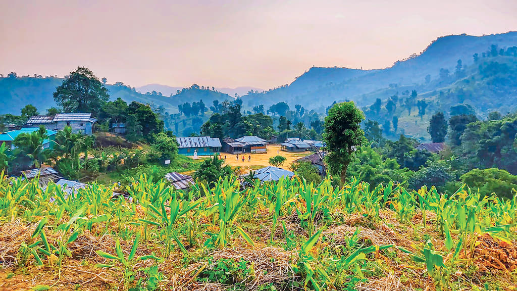 দার্জিলিং পাড়ায় দিন-রাত্রি