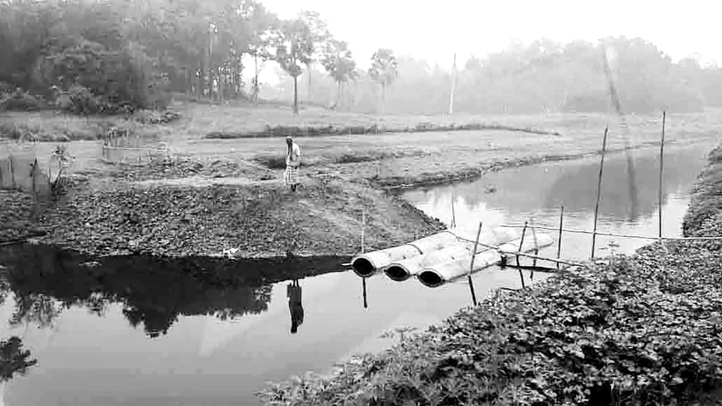 নদীতে বাঁধ দিয়ে রাস্তা