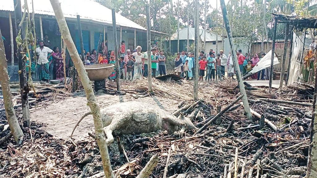 চুলা থেকে বাড়িতে অগ্নিকাণ্ড, পুড়ল শিকলে বাঁধা শিশু