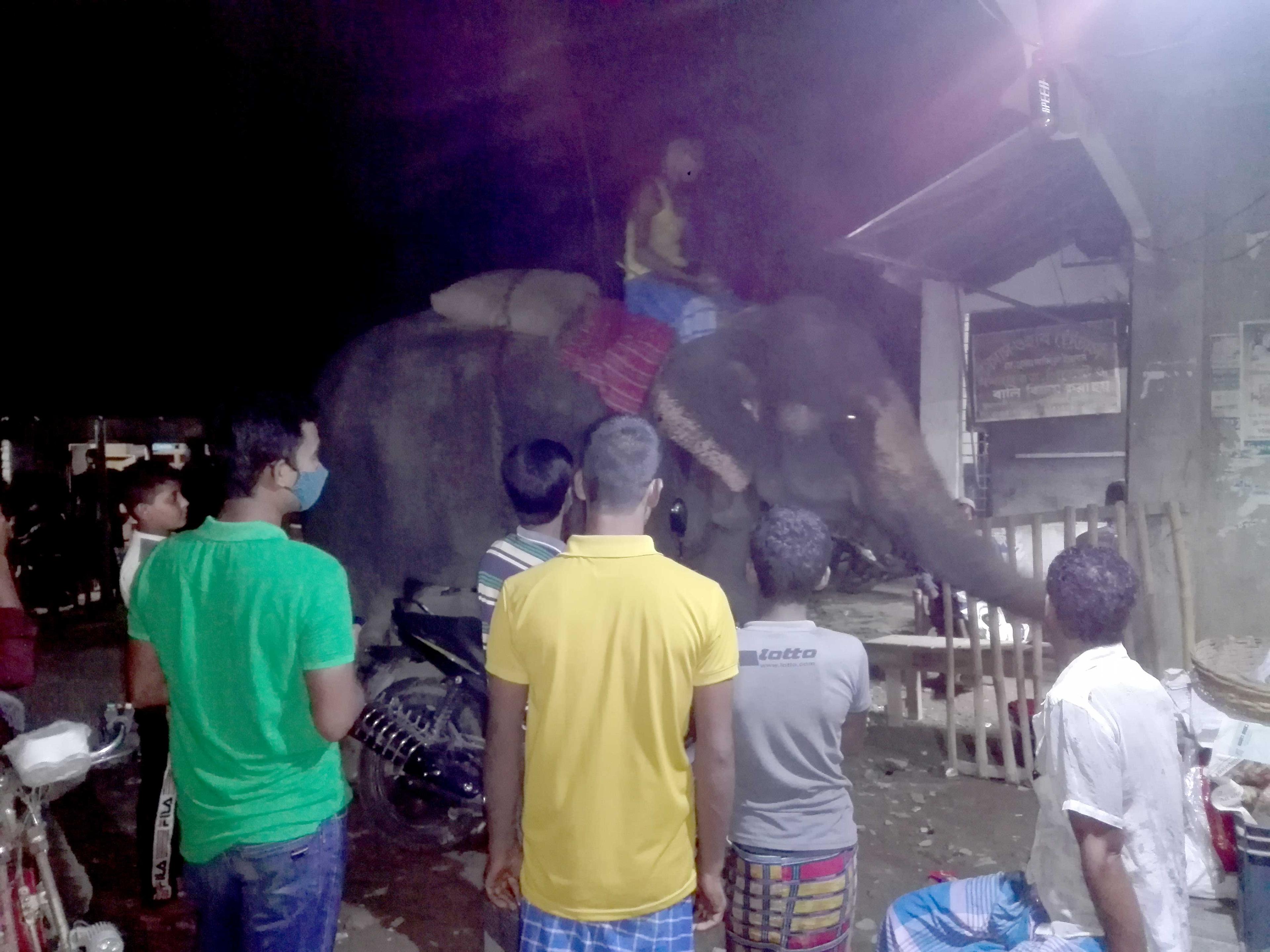 ‘লোকে বলে চাঁদাবাজি, আমার তো পেটে ক্ষুধা’