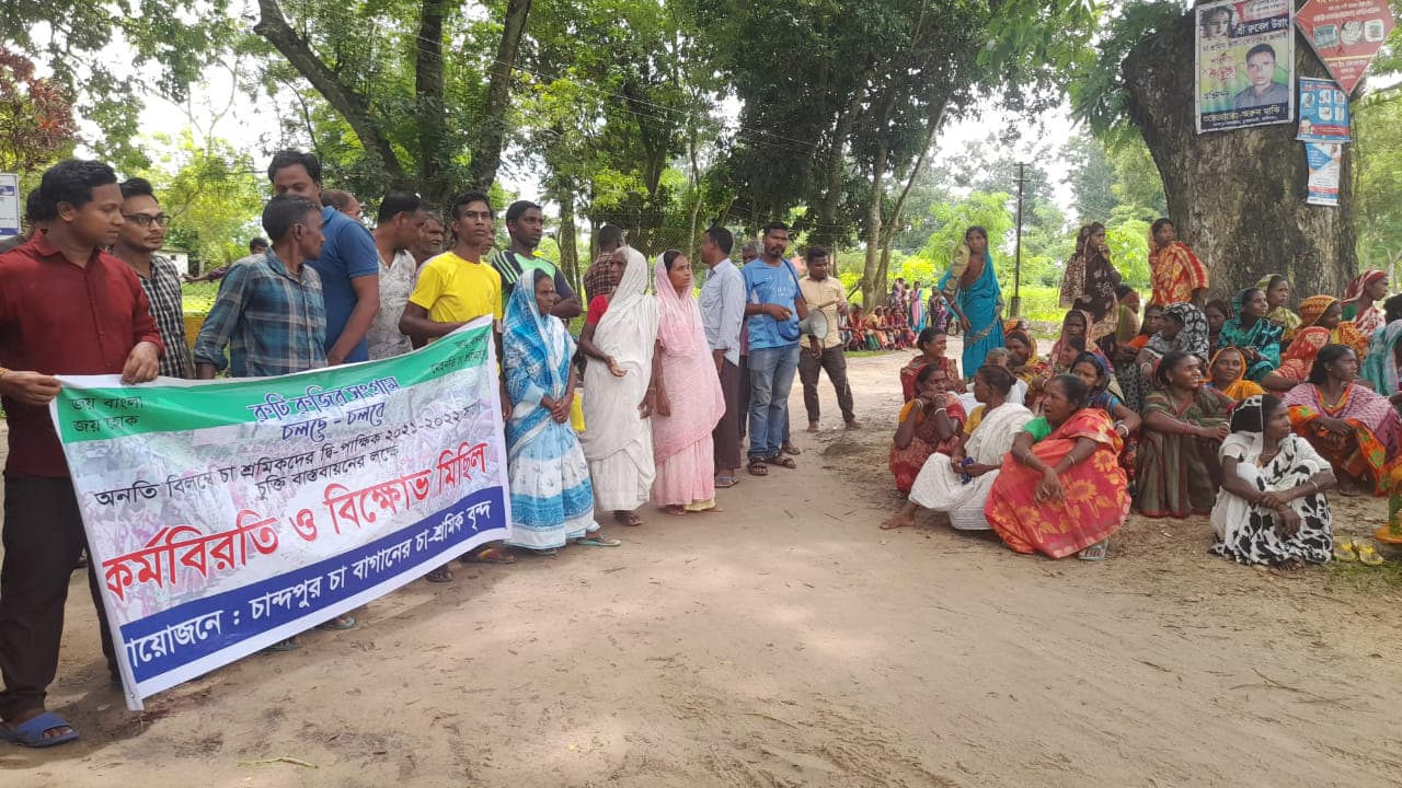 মজুরি বৃদ্ধির দাবিতে আবারও আন্দোলনে চা-শ্রমিকেরা