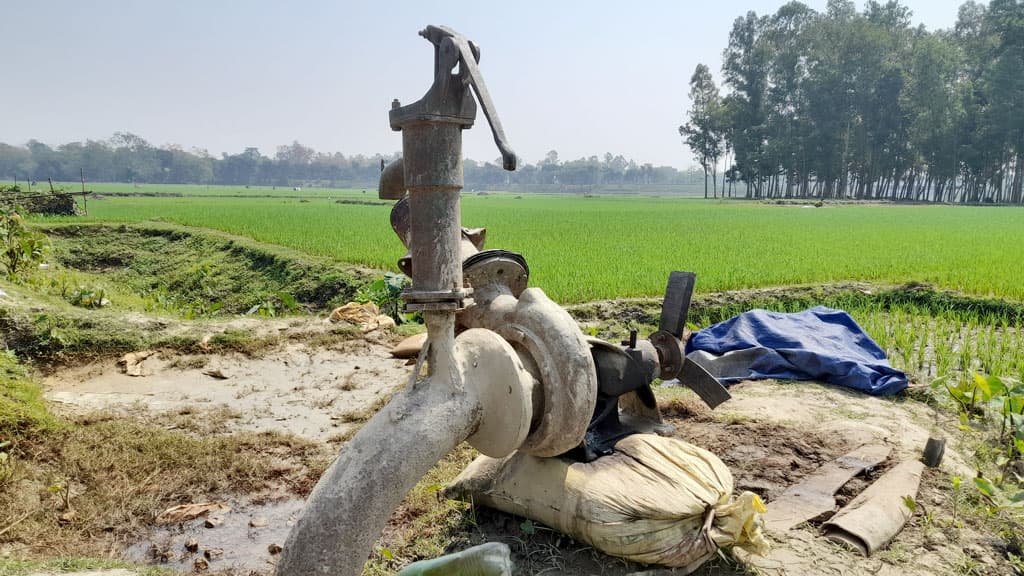 চুরির তালিকায় গরু, সেচের শ্যালে মেশিন, চালের বস্তা