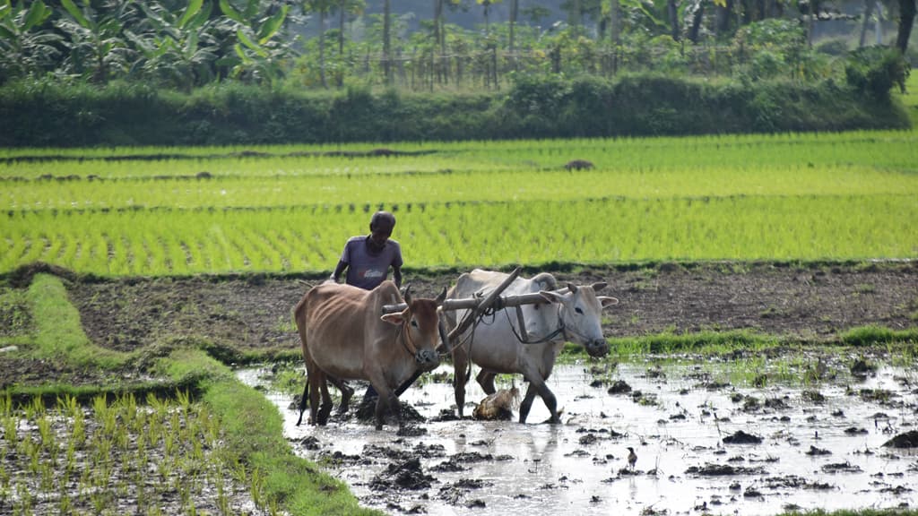 দিনের ছবি (১৮ আগস্ট, ২০২৩)