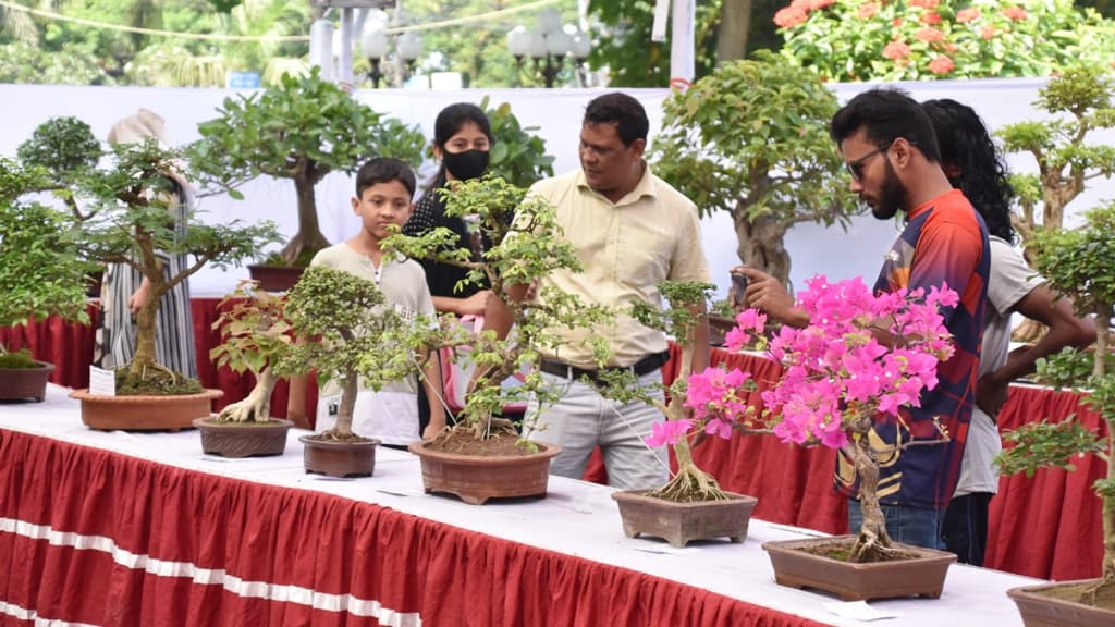 টবে বট-পাকুড়ে মুগ্ধ দর্শক