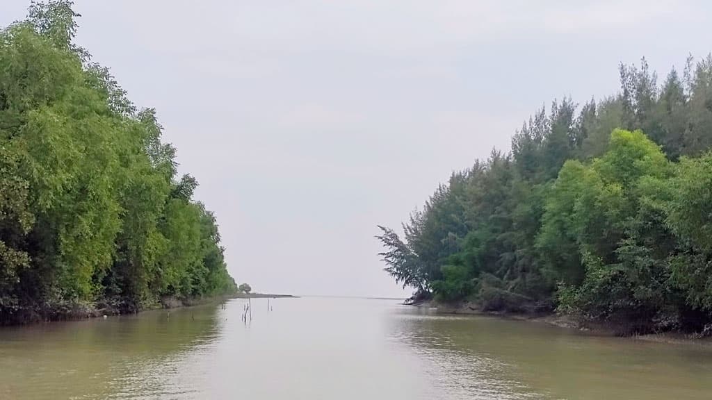 সমুদ্রসৈকত, অরণ্য ঘেরা পটুয়াখালীর সোনার চর