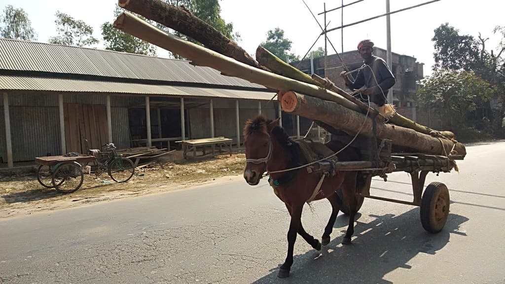 রাজকীয় ঘোড়ার দুর্দিন