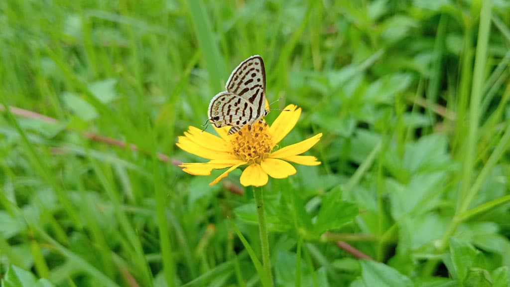 দিনের ছবি (৩ জুলাই ২০২৪)