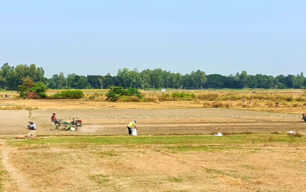 দিনের ছবি (১৩ নভেম্বর, ২০২৩)