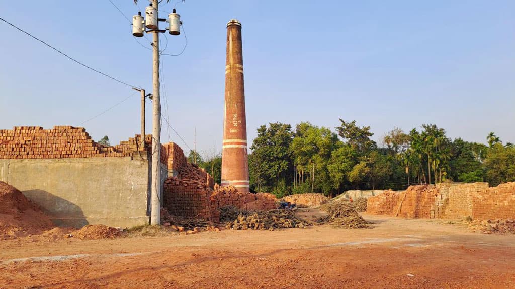 ইটভাটায় পুড়ছে কাঠ উজাড় হচ্ছে গাছপালা