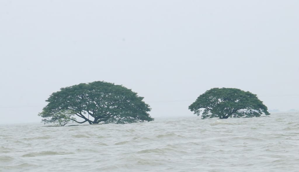 সিলেটের কৃষিখাতে ৫০০ কোটি টাকার ক্ষতি