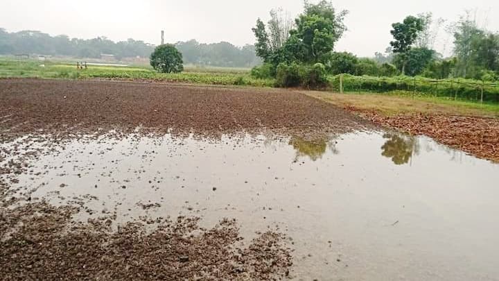 বৃষ্টিতে ডুবল কৃষকের স্বপ্ন