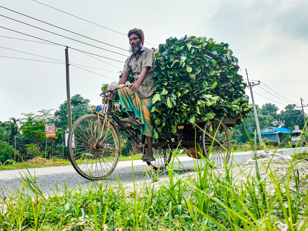 দিনের ছবি (১৫ আগস্ট, ২০২৪)