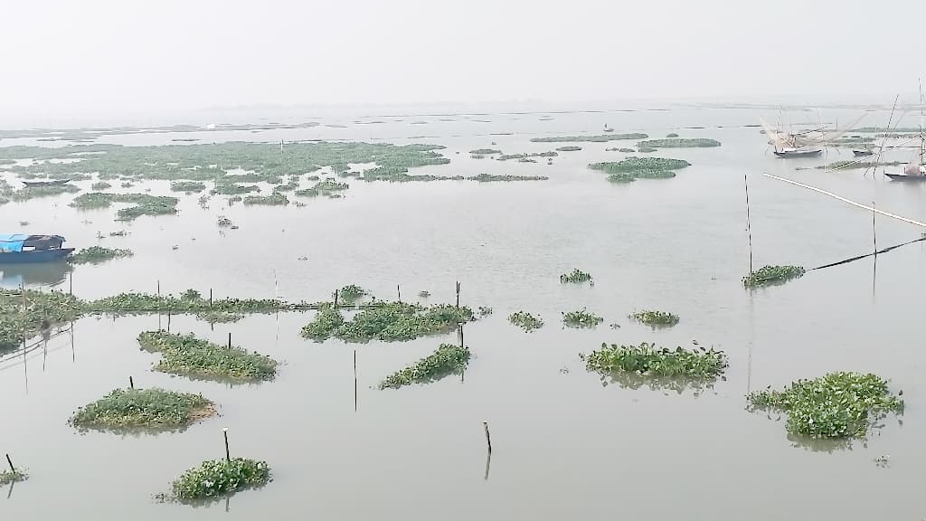 বিলের মুখে বাঁধ, বোরো চাষাবাদ নিয়ে শঙ্কা