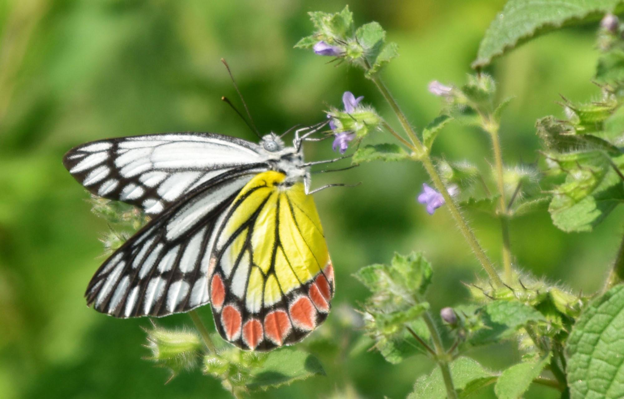 দিনের ছবি (২২ অক্টোবর, ২০২৩)