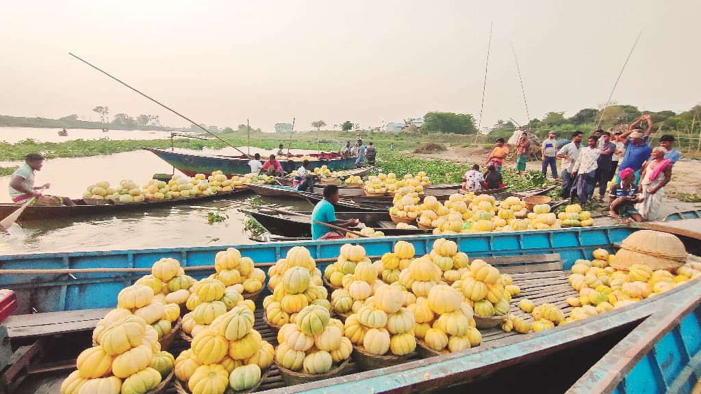 ঘ্রাণে মাতোয়ারা বাঙ্গির গ্রাম ভাঙ্গাভিটা