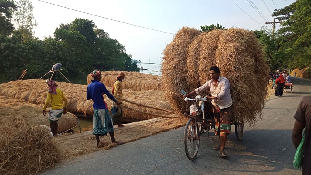 গোখাদ্যের দাম নিয়ন্ত্রণ দাবি