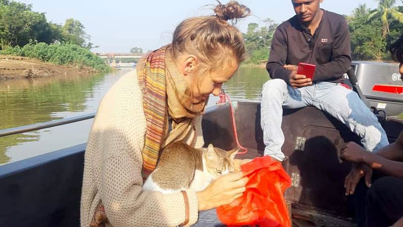 অবশেষে জার্মান নারীর কোলে ফিরল সেই বিড়াল