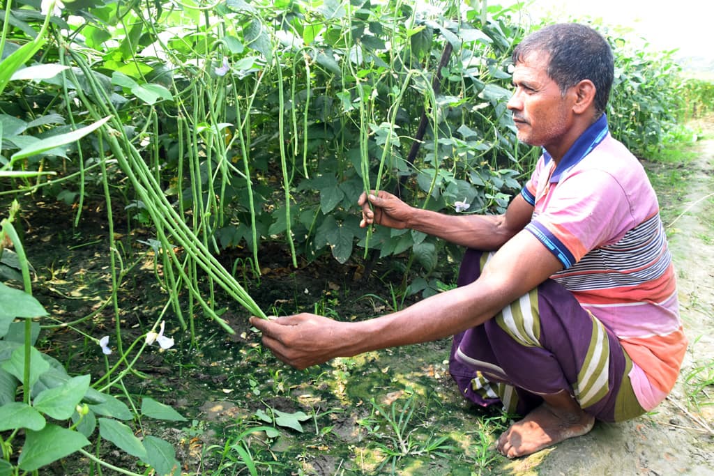 দিনের ছবি (৭ জুন, ২০২৪)