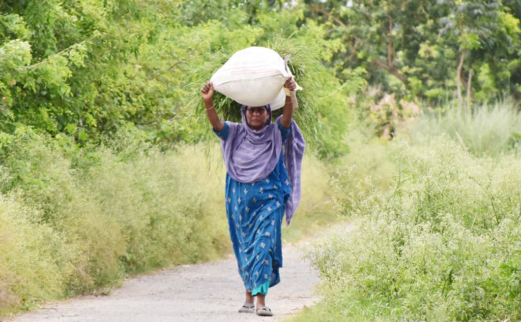 দিনের ছবি (২০ জুলাই, ২০২৩)