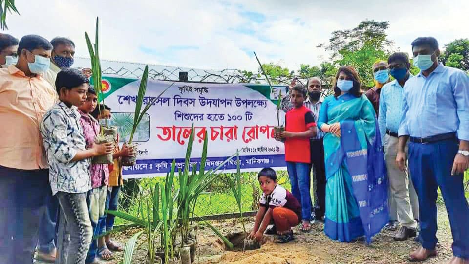 ১০০ তালের চারা রোপণ করল শিশুরা