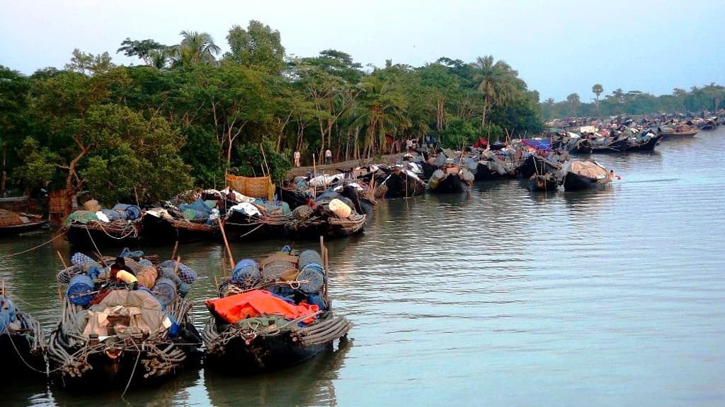 দস্যুমুক্ত সুন্দরবনে নির্ভার যাত্রা