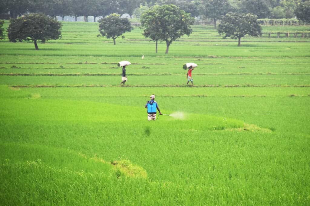 দিনের ছবি (১০ আগস্ট, ২০২৪)