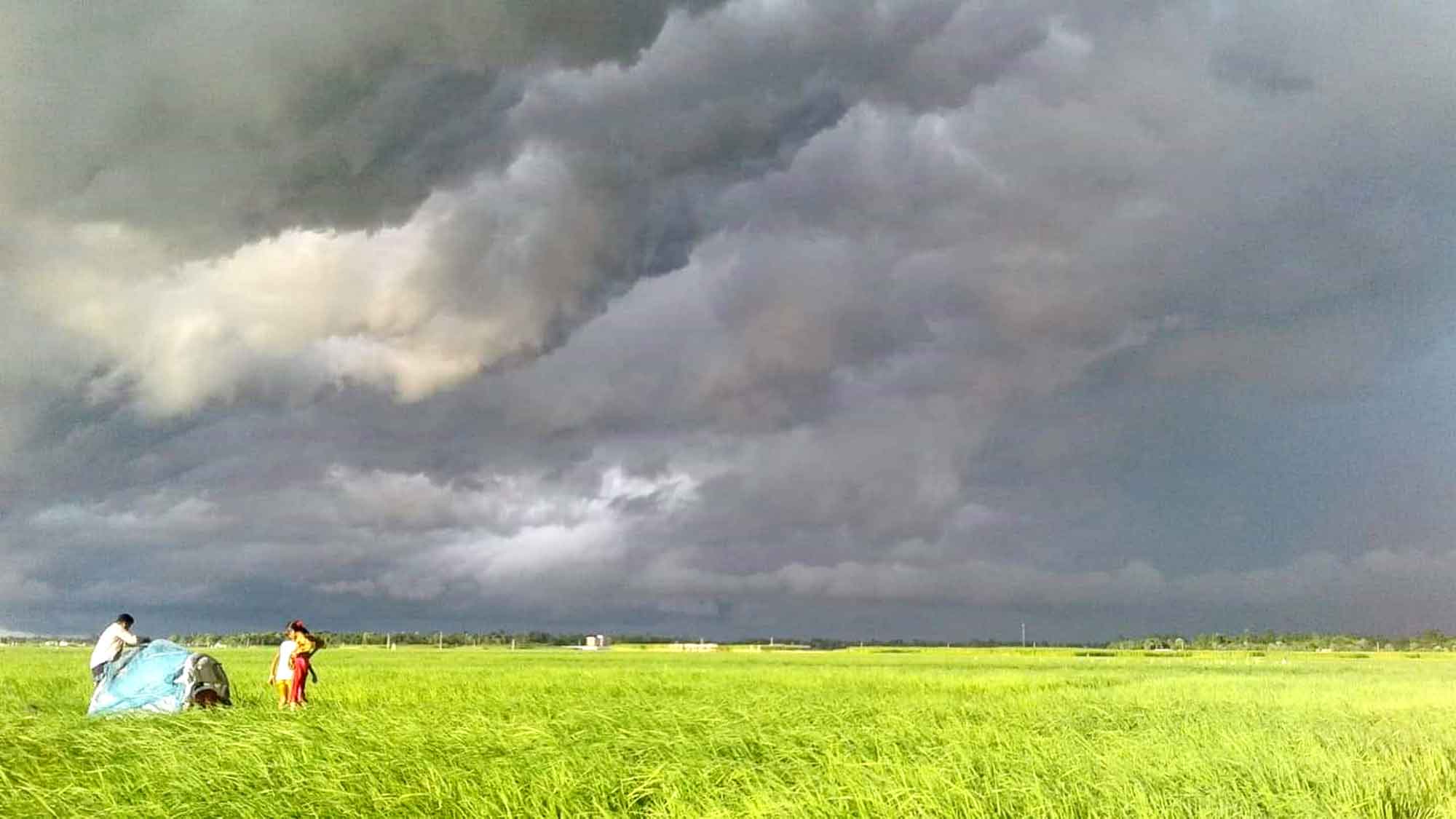 মহামারিকালে কৃষিই একমাত্র জেগে আছে