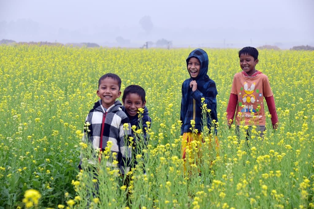 দিনের ছবি (০২ ডিসেম্বর, ২০২৩)