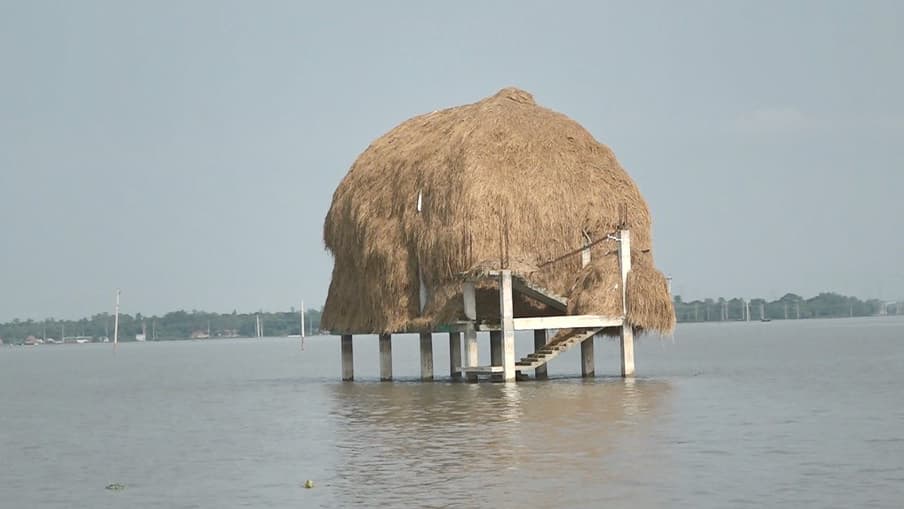 তলিয়ে গেছে চারণভূমি বিপাকে পশু খামারিরা