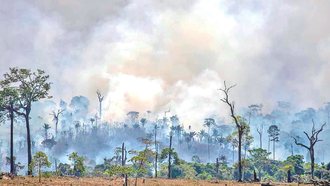 আমাজনের অগ্নিকাণ্ড ভয়ংকর পরিণতি ডেকে আনছে