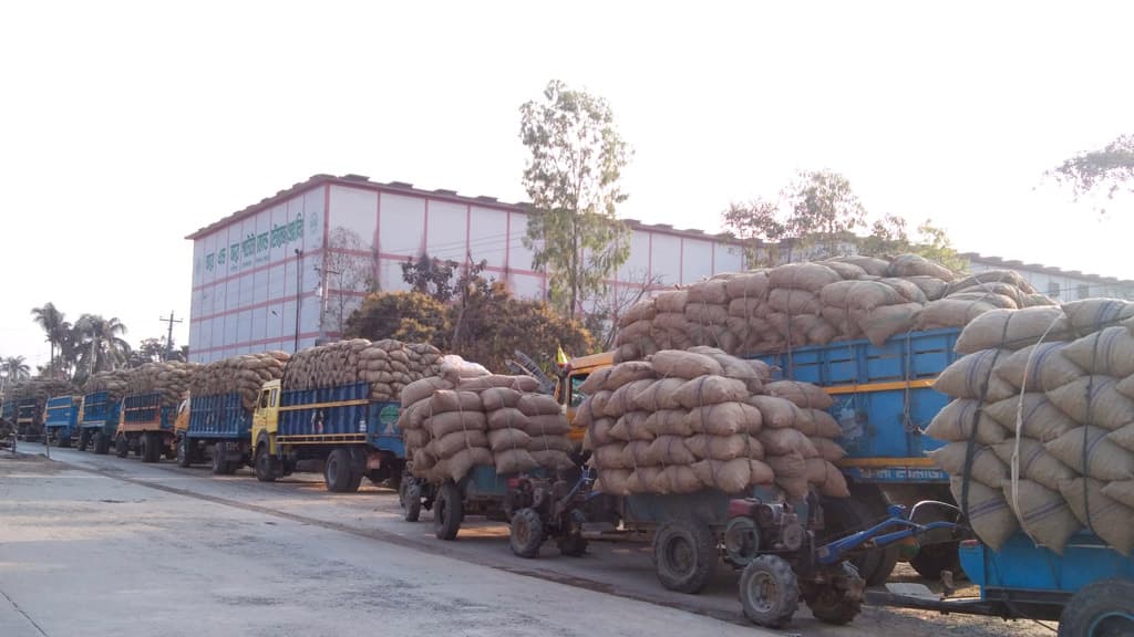 আলু রাখতে হিমাগারে চাপ