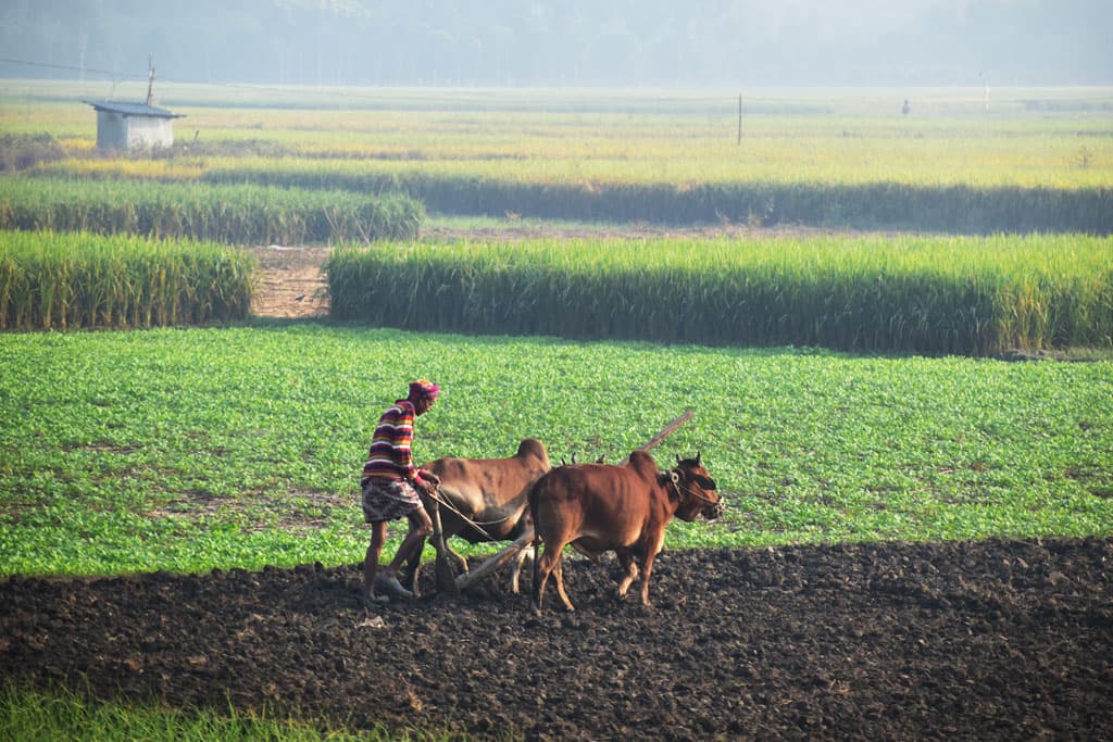 দিনের ছবি (২১ নভেম্বর, ২০২৩)