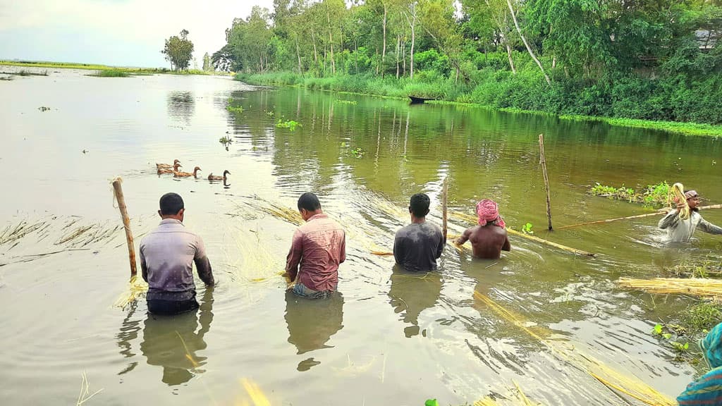 দিনের ছবি (০৮ আগস্ট, ২০২৪)