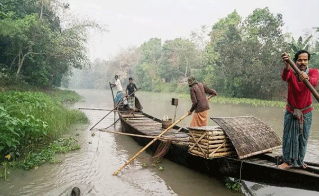 আজ থেকে সুন্দরবনে দুই মাস মাছ ধরা বন্ধ