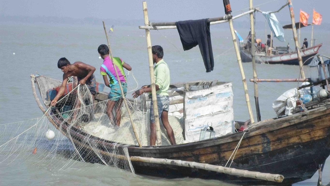 ভরা মৌসুমে ইলিশের আকাল, হতাশায় মেঘনার জেলেরা