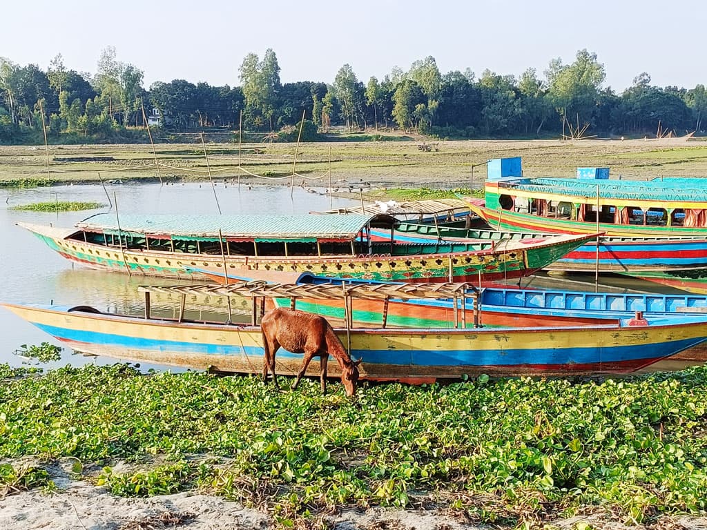 দিনের ছবি (২০ নভেম্বর, ২০২৩)