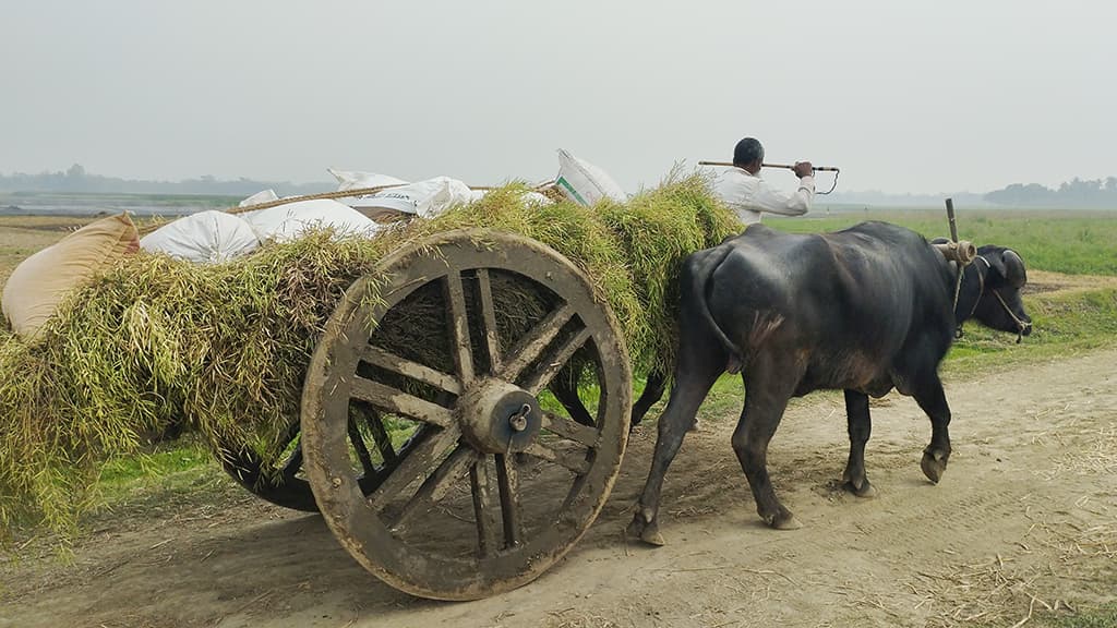 দিনের ছবি (২০ ফেব্রুয়ারি, ২০২৪)