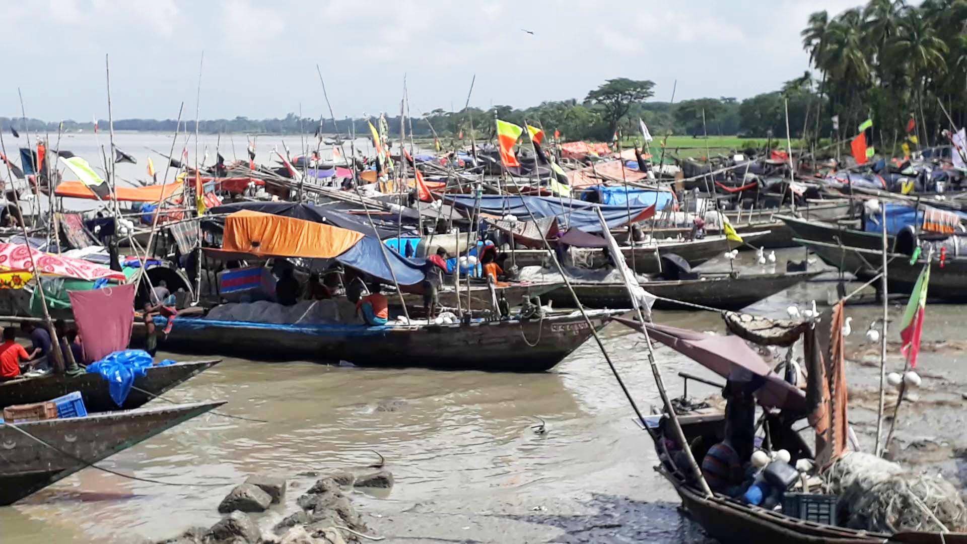 জালে ইলিশ, খুশি জেলে