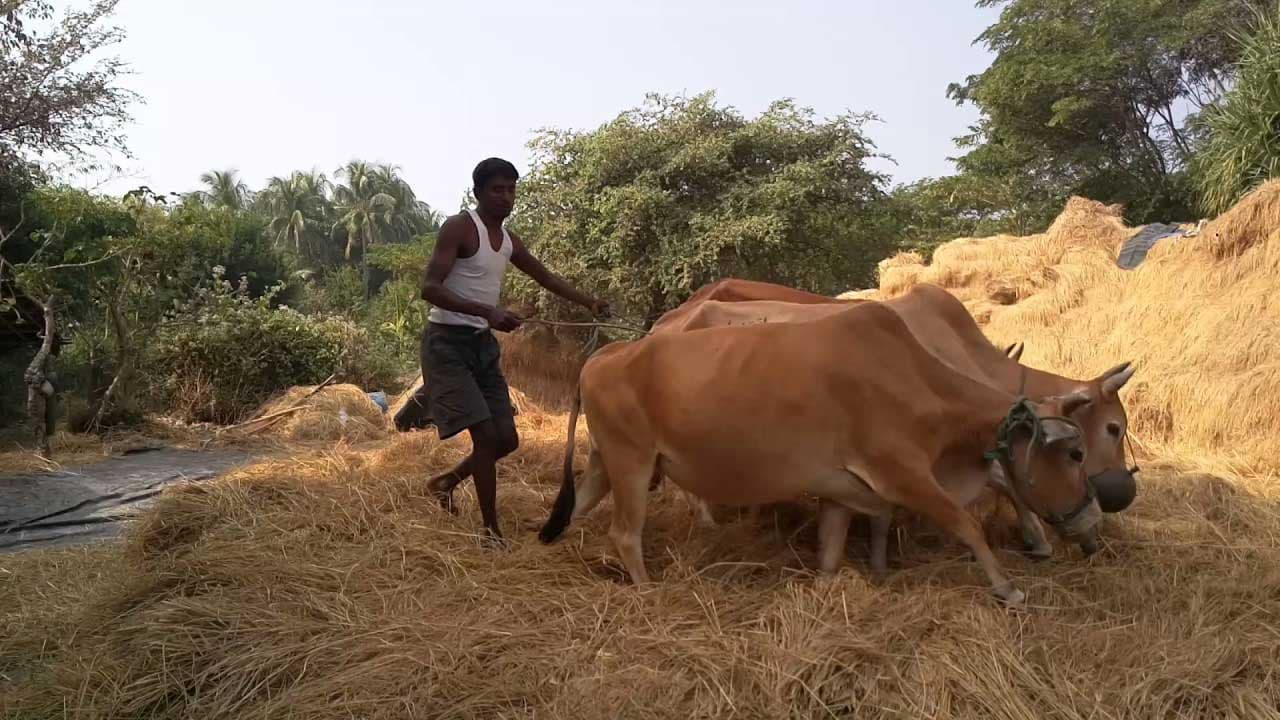 স্মৃতির দখিন দুয়ার খুলে একটু ঘুরে আসা