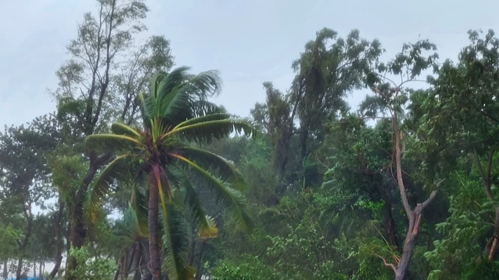 সিত্রাং দুর্বল হয়ে নিম্নচাপে পরিণত, নামল বিপৎসংকেত